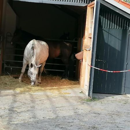 Wild Life Ranch Villa Schofweg Bagian luar foto