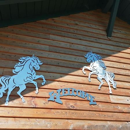 Wild Life Ranch Villa Schofweg Bagian luar foto