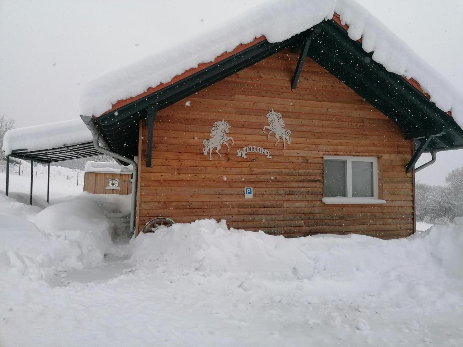 Wild Life Ranch Villa Schofweg Bagian luar foto