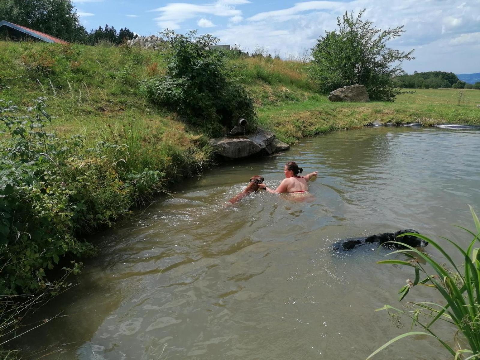 Wild Life Ranch Villa Schofweg Bagian luar foto